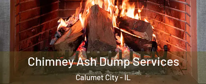  Chimney Ash Dump Services Calumet City - IL