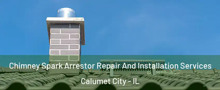  Chimney Spark Arrestor Repair And Installation Services Calumet City - IL