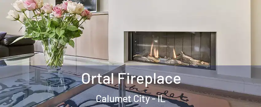  Ortal Fireplace Calumet City - IL
